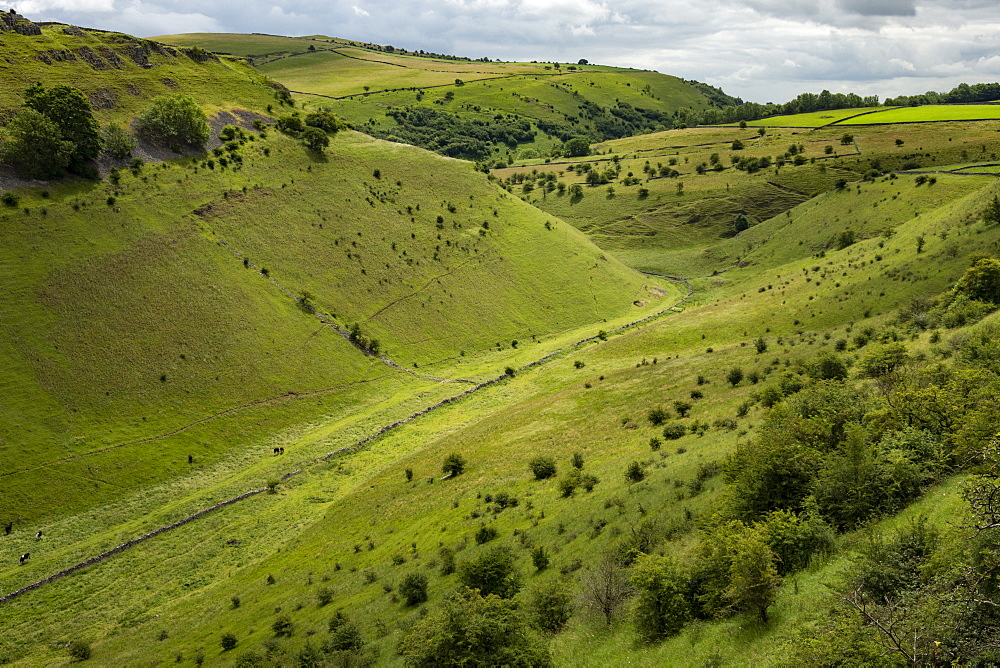 Cressbrook Dale, near Bakewell, Derbyshire, England, United Kingdom, Europe