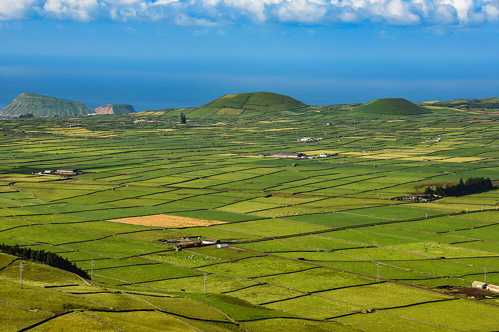 Volcanic cinder cones in Cinque Picos caldera, seen from Serra do Cume, Terceira island, Azores, Portugal, Atlantic, Europe