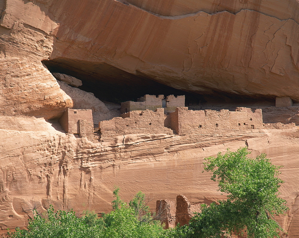 The White House, cliff dwellings, in the Canyon de Chelly in Arizona, United States of America, North America