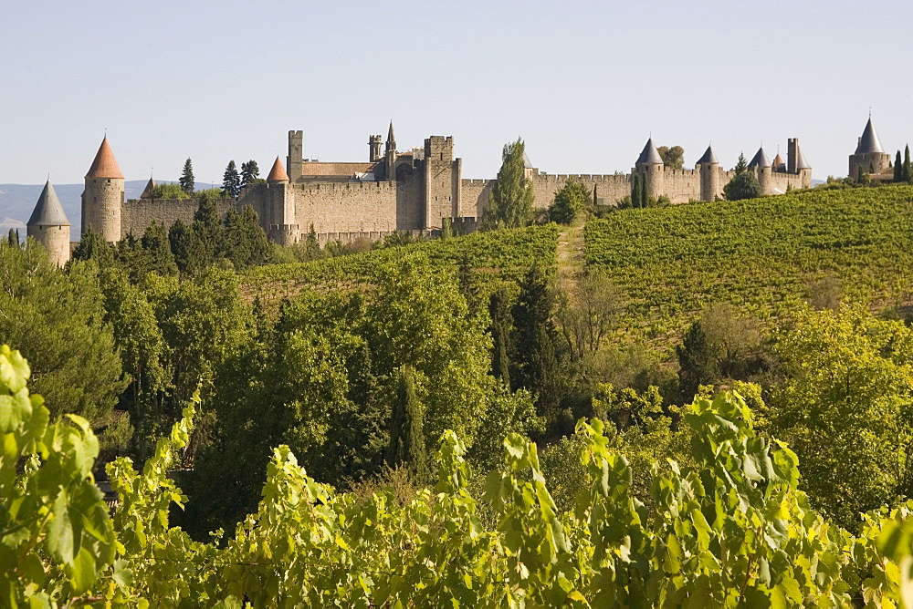 Cracassonne old city, & vineyards, Aude, France