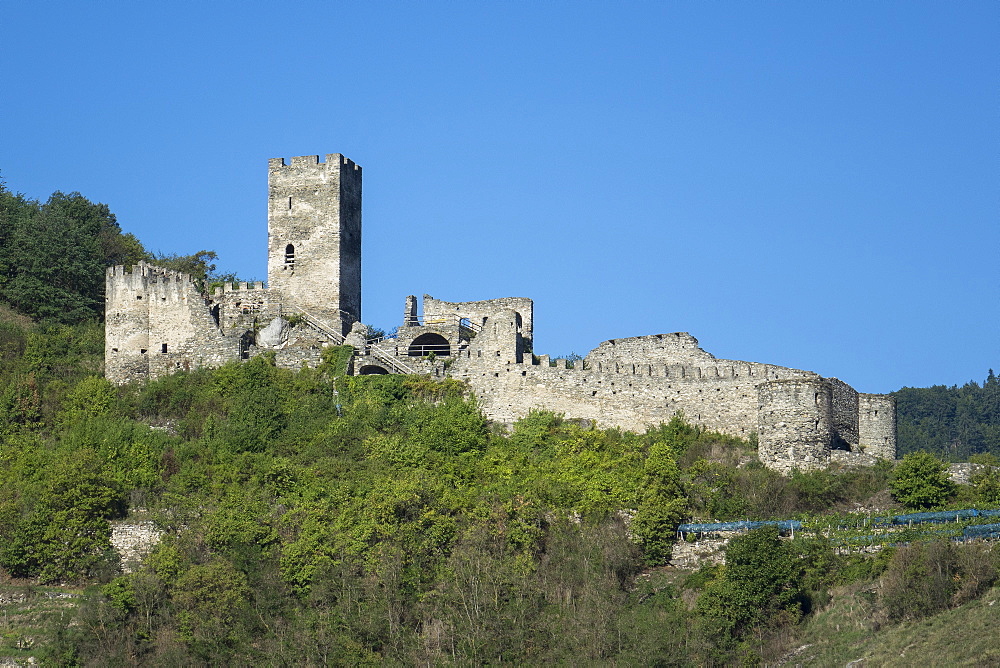 Hinterhaus castle ruins, Spitz, Wachau Valley, UNESCO World Heritage Site, Lower Austria, Austria, Europe