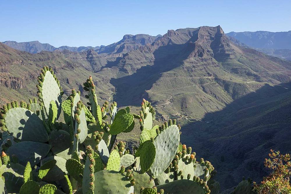 Mirador Degollada de las Yeguas, Fataga Valley, Gran Canaria, Canary Islands, Spain, Atlantic, Europe