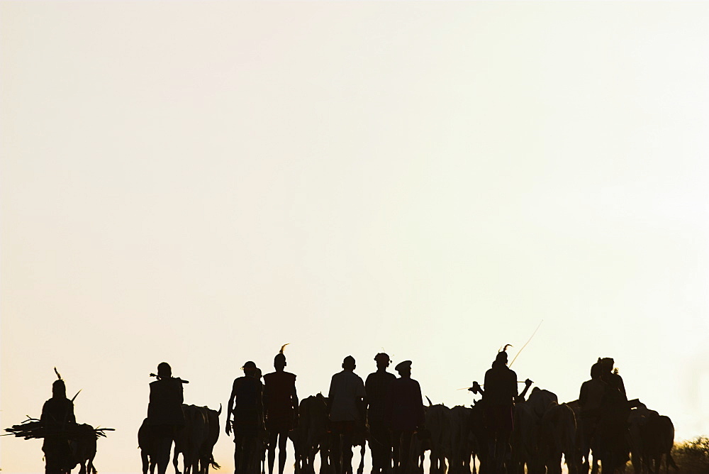 Hamer (Hamar) people walking back from bull jumping ceremony,Turmi, Lower Omo Valley, Ethiopia, Africa