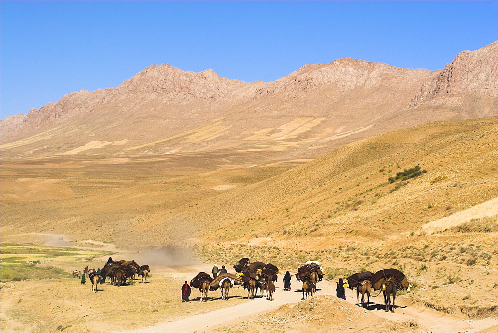 Kuchie nomad camel train, between Chakhcharan and Jam, Afghanistan, Asia