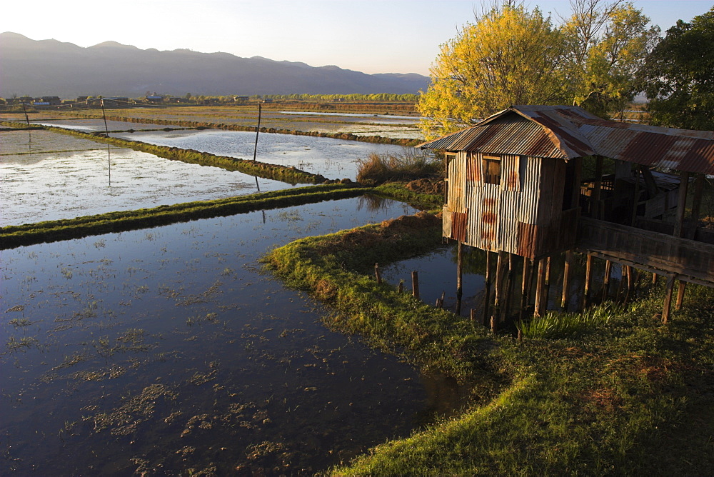 House on stilts, Inle Lake, Shan State, Myanmar (Burma), Asia