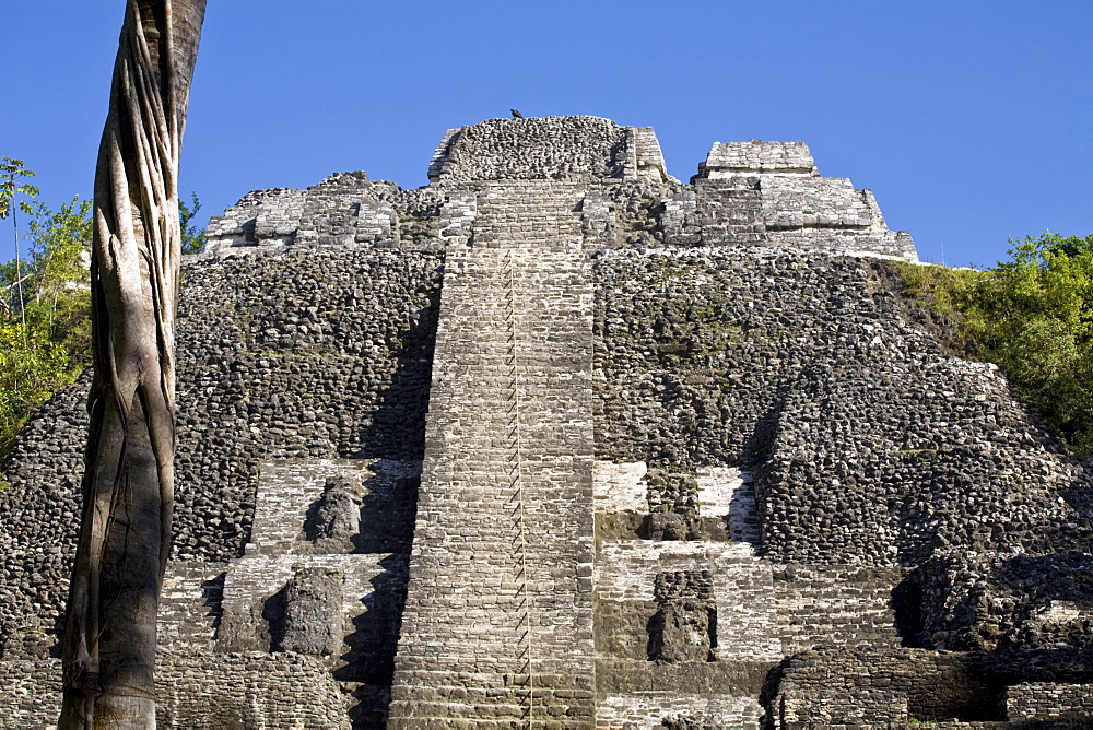 High Temple (Structure N10-43), the highest temple at the Mayan site of Lamanai, Lamanai, Belize, Central America