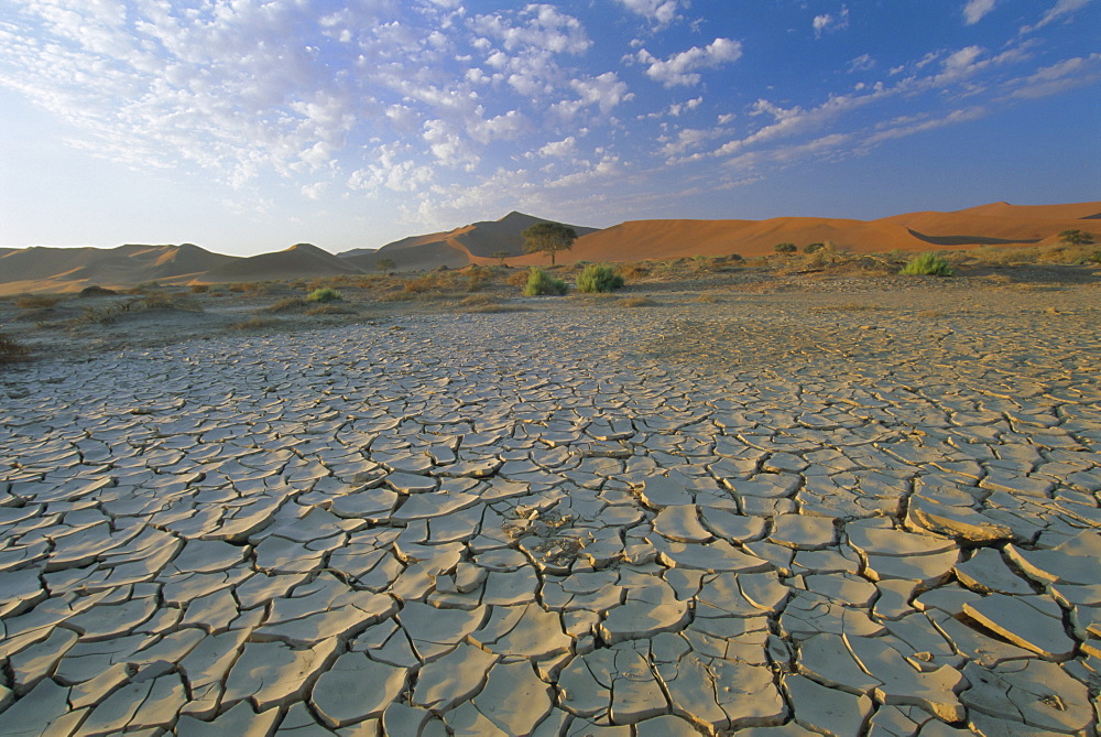 Sunbaked mud pan, cracked earth, near Sossuvelei, Namib Naukluft Park, Namibia, Africa