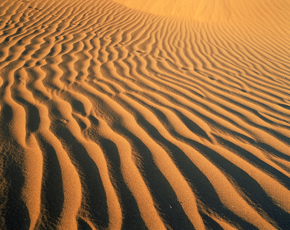 Ripples in the sand, Sesriem, Namib Naukluft Park, Namibia, Africa