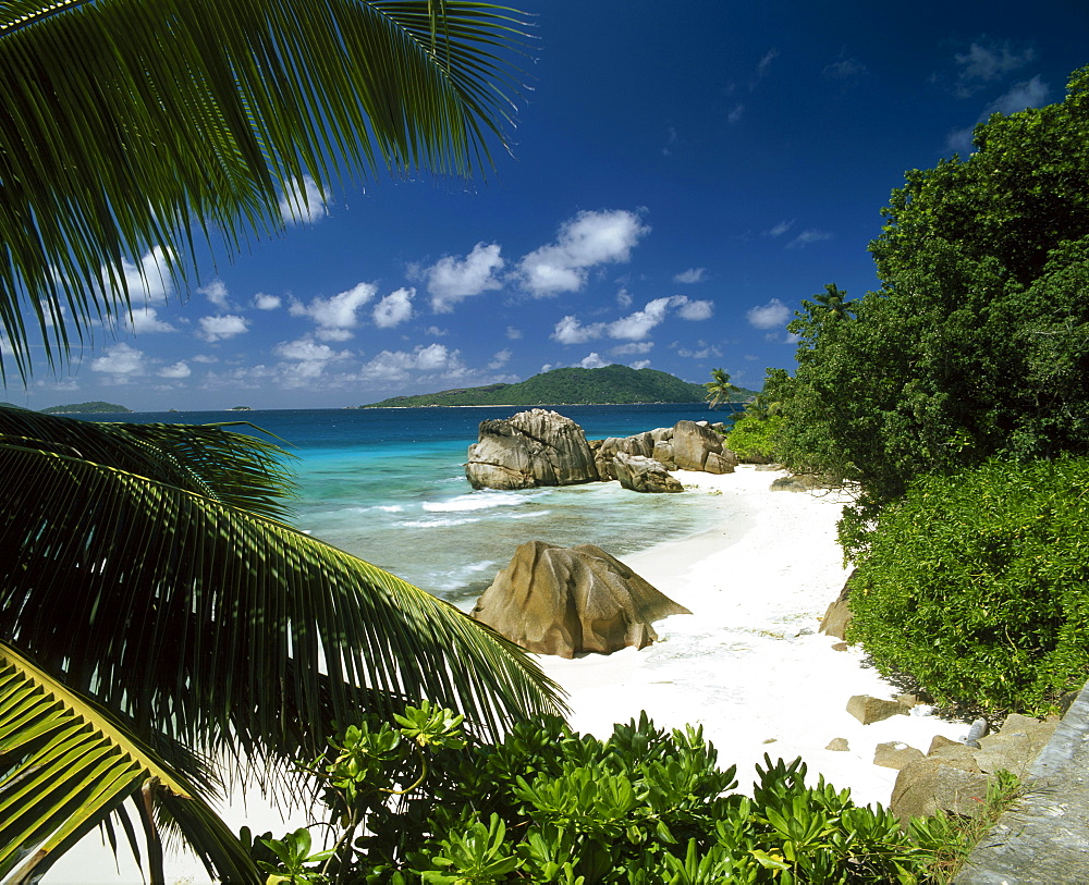 Tropical beach scene, Anse Patates, La Digue, Seychelles 