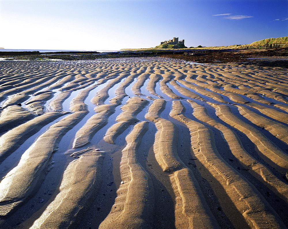 Bamburgh castle and Bamburgh beach, Bamburgh, Northumberland, England, United Kingdom, Europe