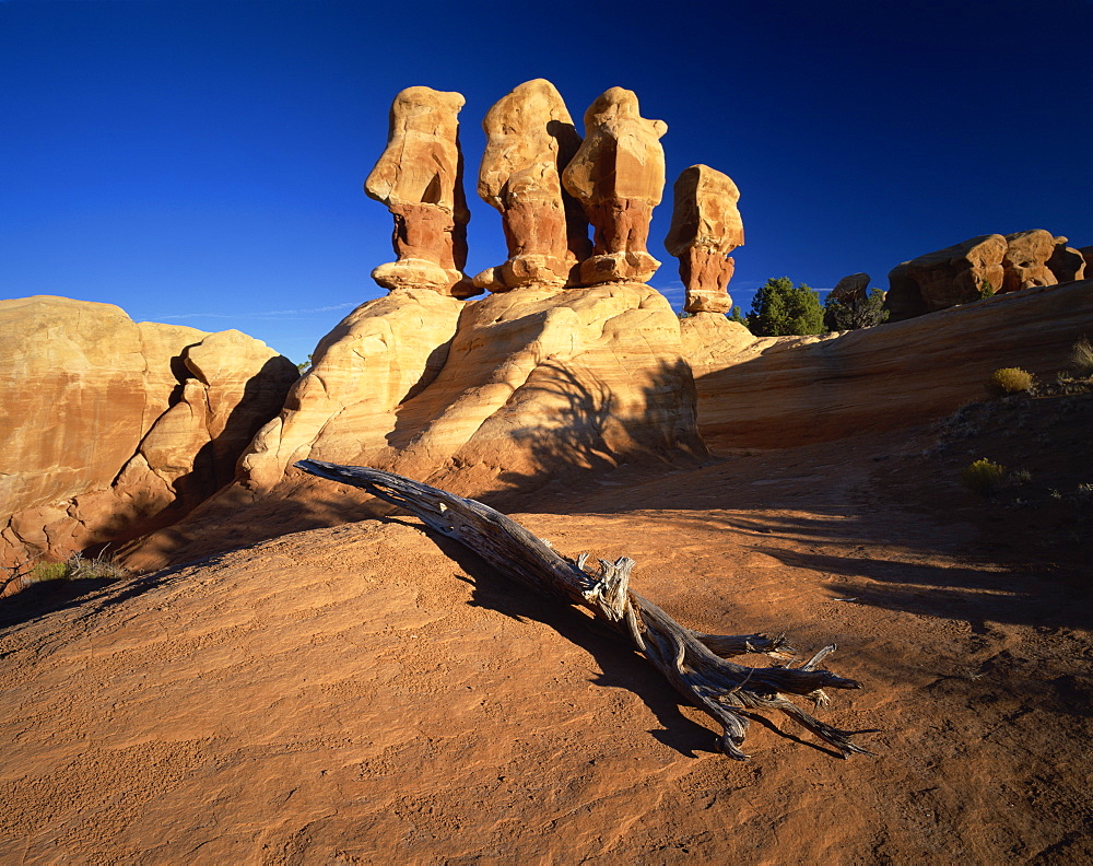 Sculptured rock formations, Devil's Garden, Grand Staircase Escalante, Utah, United States of America, North America