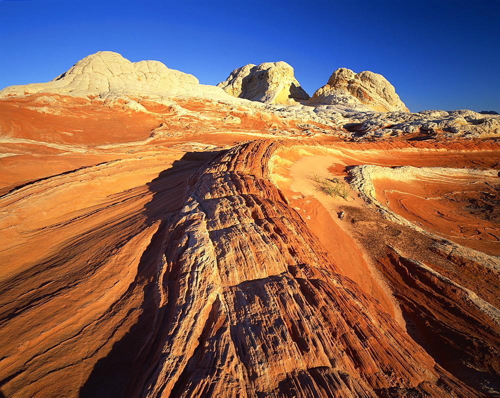 Sandstone formations, White Pockets, Paria Plateau, Northern Arizona, United States of America, North America