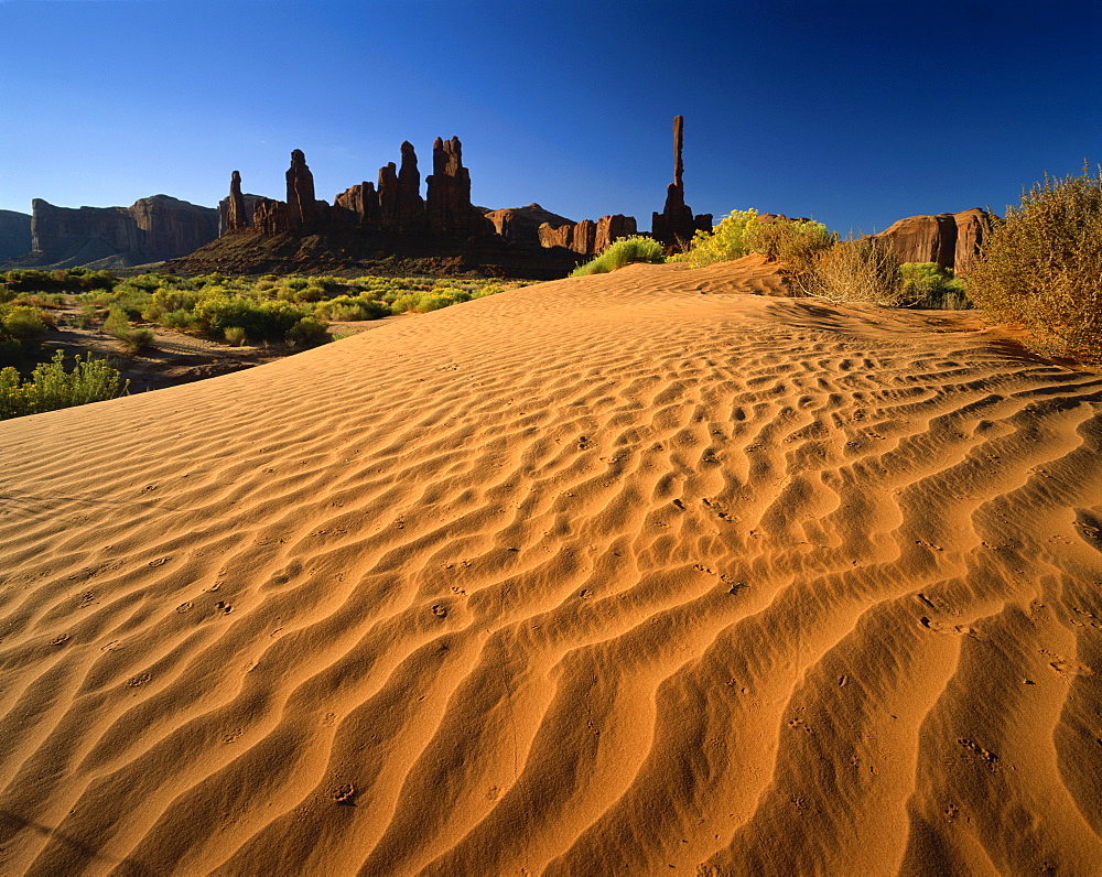 Totem Pole and Sand Springs, Monument Valley Tribal Park, Arizona, United States of America, North America