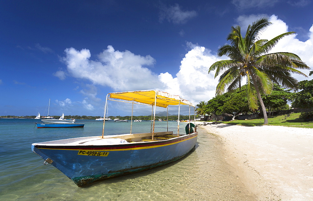 Beach scene with palm trees, blue sky and a boat used to ferry tourists to the idyllic island of Ile Aux Cerfs from Trou D'Eau Douce, a village on the east coast of Mauritius, Indian Ocean, Africa