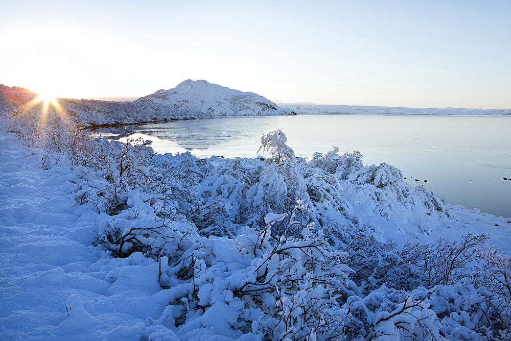 View towards Pingvallavatn Lake on a clear winter's afternoon with the shore and distant mountains covered in snow, Pingvellir National Park, UNESCO World Heritage Site, Southwest Iceland, Iceland, Polar Regions