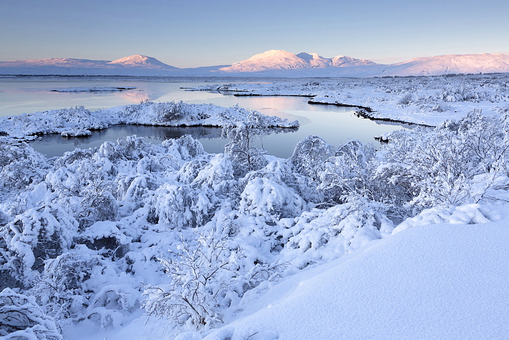 View towards Pingvallavatn Lake on a clear winter's afternoon with the shore and distant mountains covered in snow, Pingvellir National Park, UNESCO World Heritage Site, Southwest Iceland, Iceland, Polar Regions