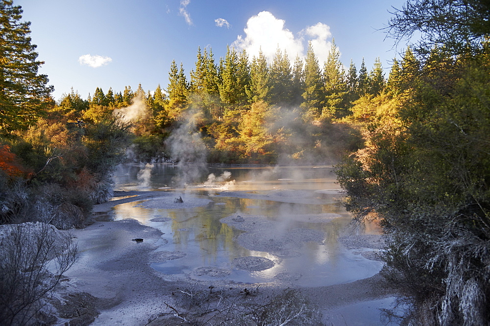 A thermal mud pool bubbles near to Wai-o-tapu Thermal Wonderland, Rotorua, North Island, New Zealand, Pacific