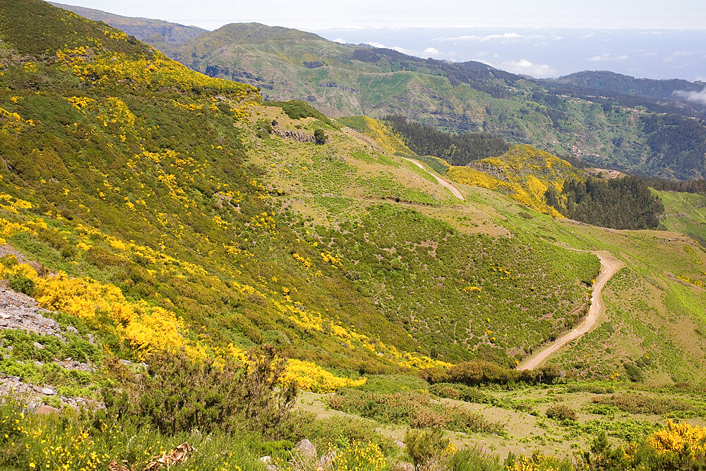 Hills and mountains in the colourful interior of Madeira seen from Pedras viewpoint, Madeira, Portugal, Atlantic, Europe