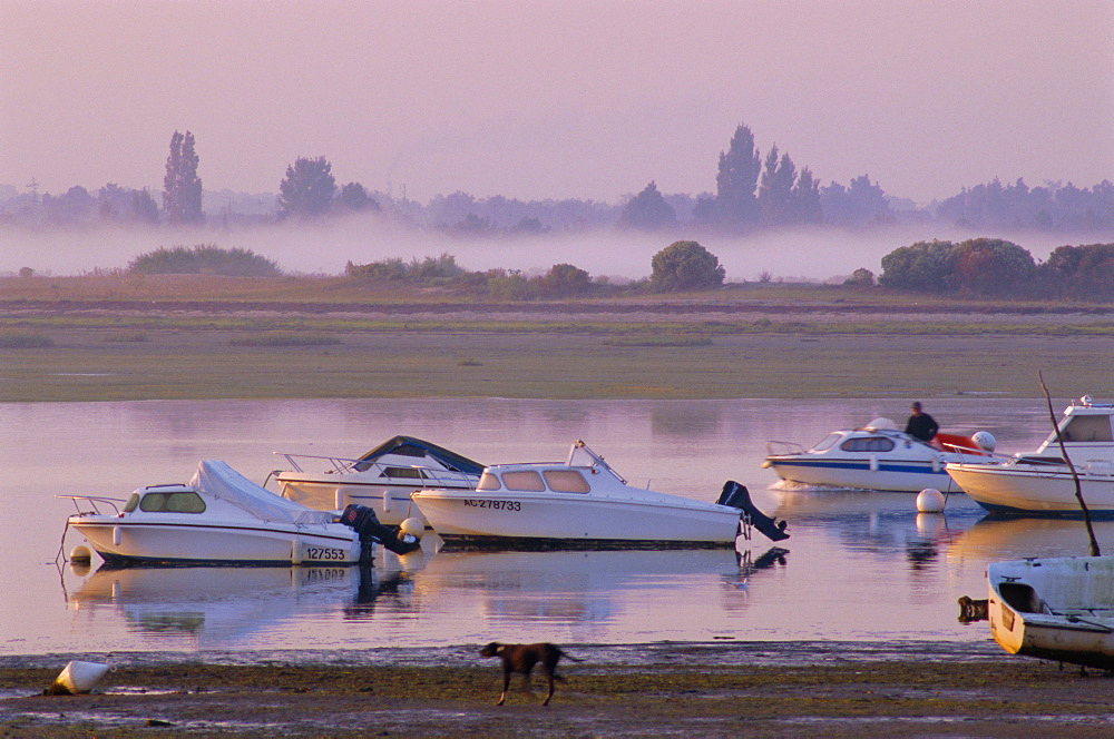 Arcachon, Gironde, Aquitaine, France, Europe