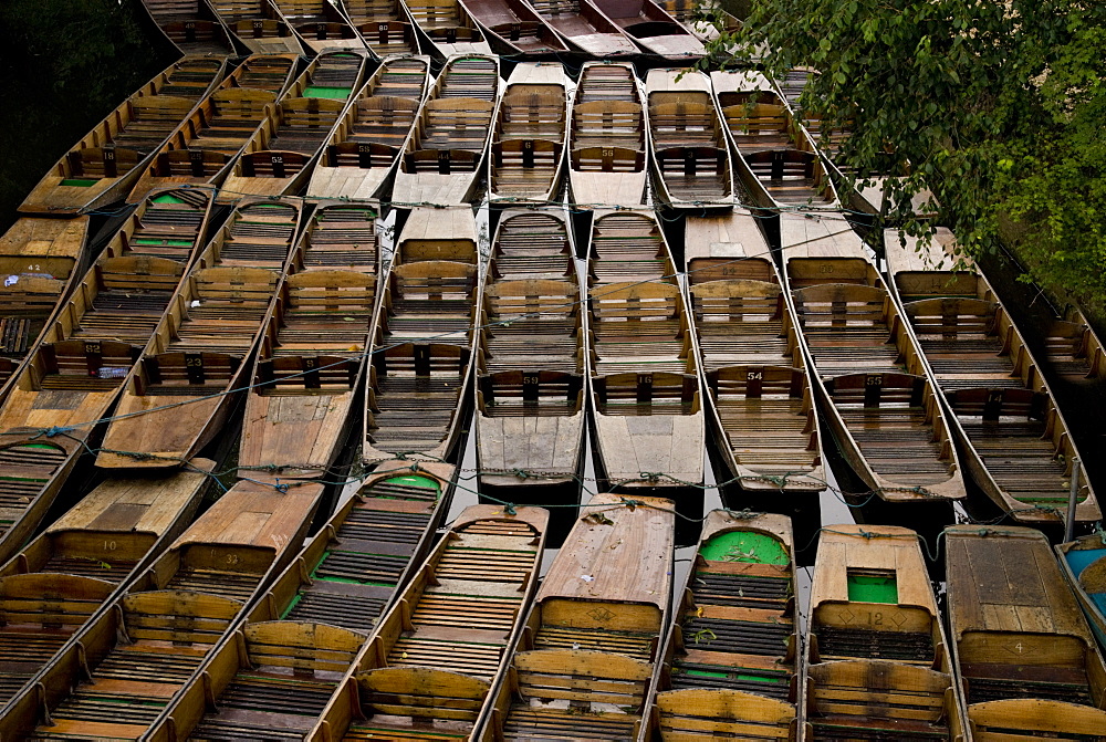 Punts, Oxford, Oxfordshire, England, United Kingdom, Europe