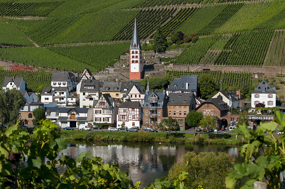 Zell church on River Mosel, Zell, Rhineland-Palatinate, Germany, Europe