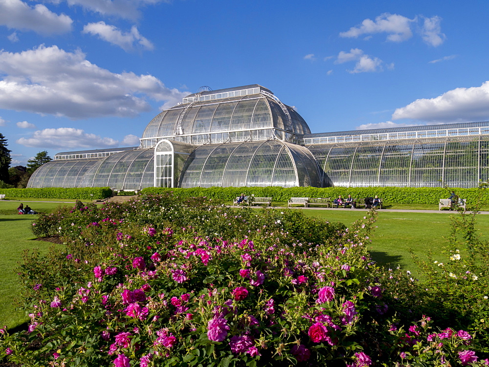 Palm House in Kew Gardens in summer, Royal Botanic Gardens, UNESCO World Heritage Site, Kew, Greater London, England, United Kingdom, Europe 