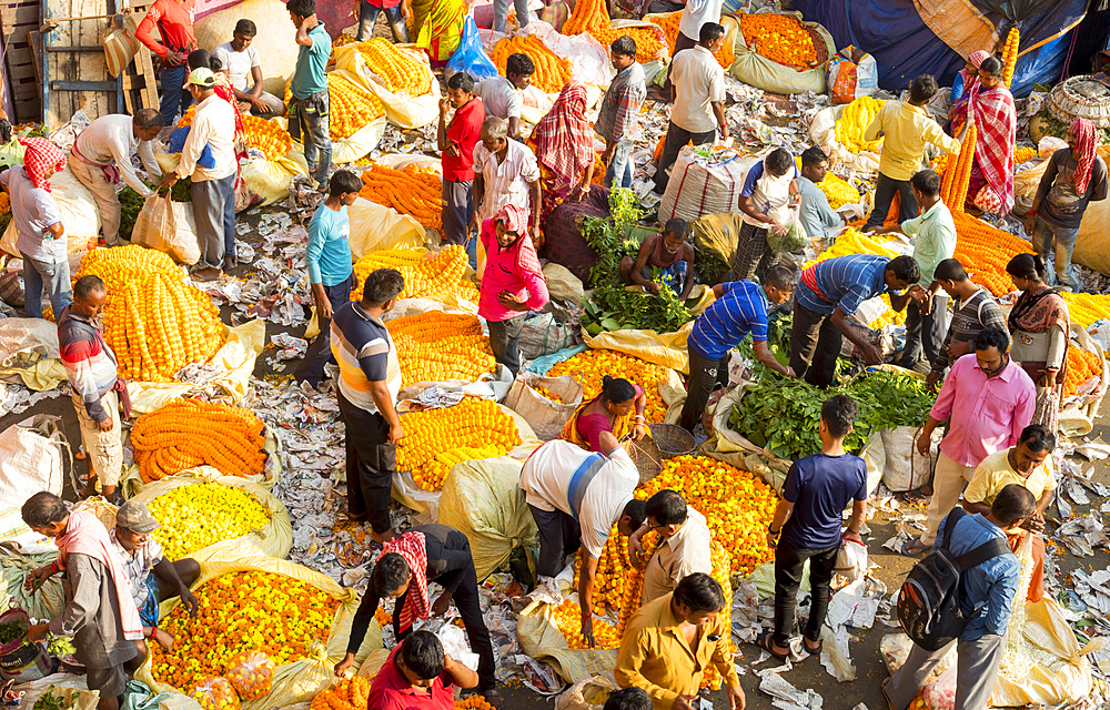 Howrah Bridge Mullick Ghat flower market, Howrah Bridge, Kolkata, West Bengal, India, Asia