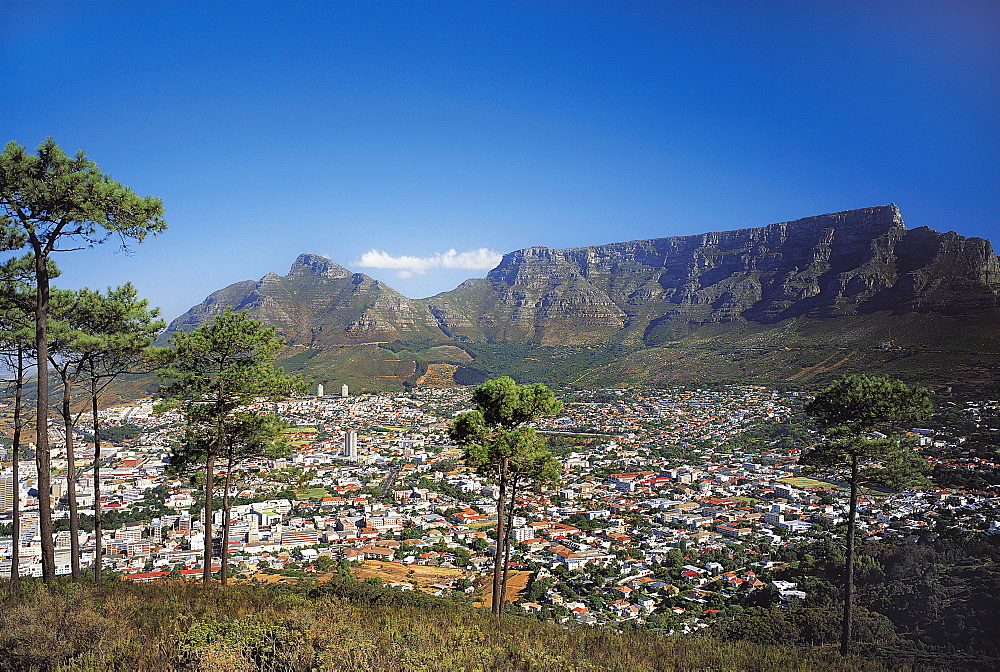 Cape town, South Africa