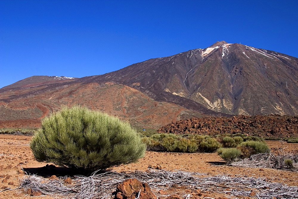 Mount Teide (Pico del Teide) from the south east outside Parador, Parque Nacional de Las Canadas del Teide (Teide National Park), Tenerife, Canary Islands, Spain, Europe