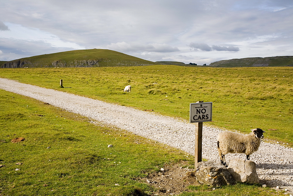 Looking north on path near Malham Tarn, Yorkshire Dales National Park, North Yorkshire, England, United Kingdom, Europe