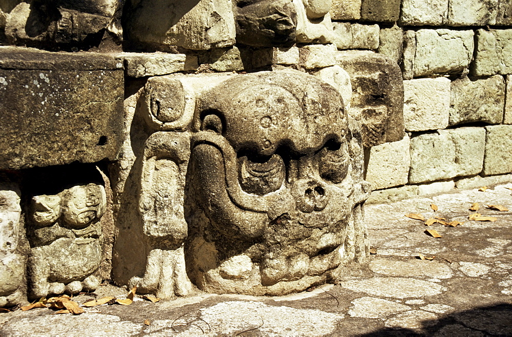 Mayan carved stone skull on top of East Court, dating from 8th century, Copan, UNESCO World Heritage Site, Honduras, Central America