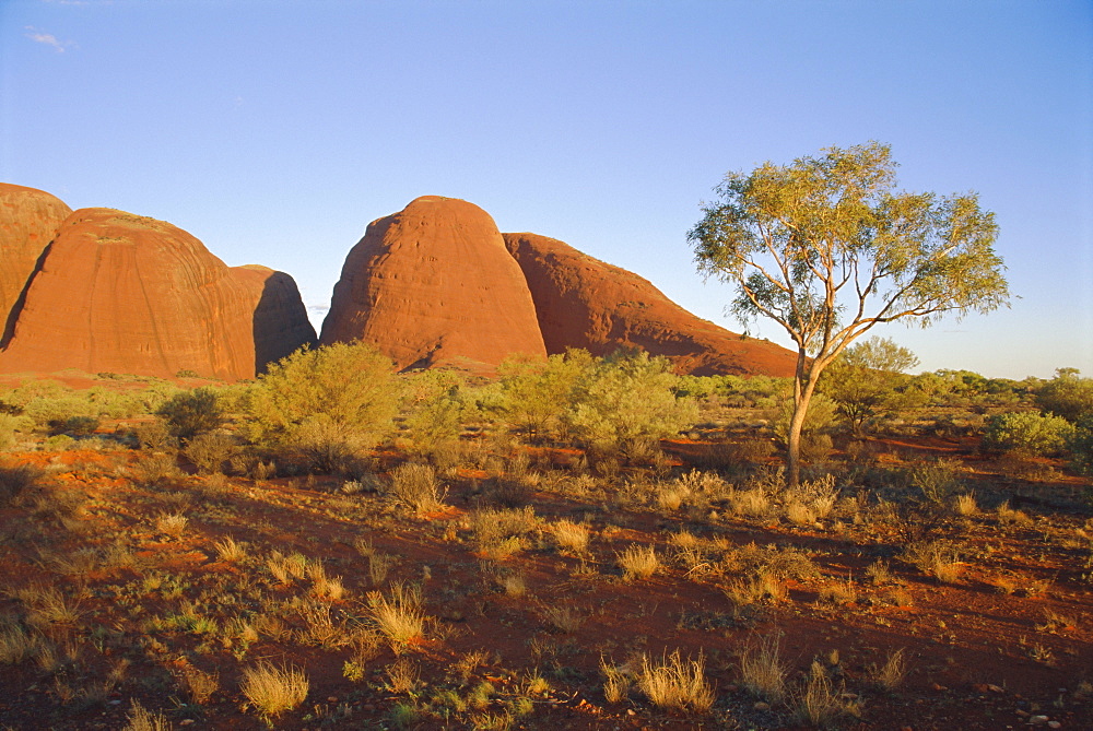 The Olgas, Northern Territory, Australia