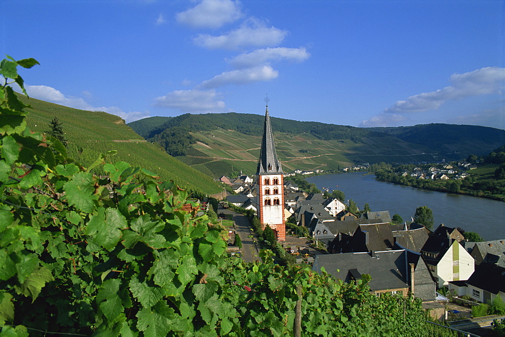 Zell-merl, Mosel Valley, Rheinland-Pfalz, Germany, Europe