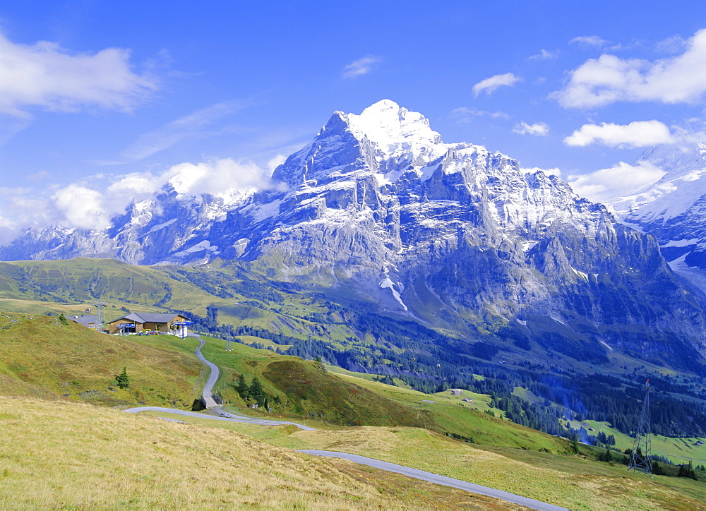 View from Grindelwald-Frist to Wetterhorn, Bernese Oberland, Swiss Alps, Switzerland, Europe