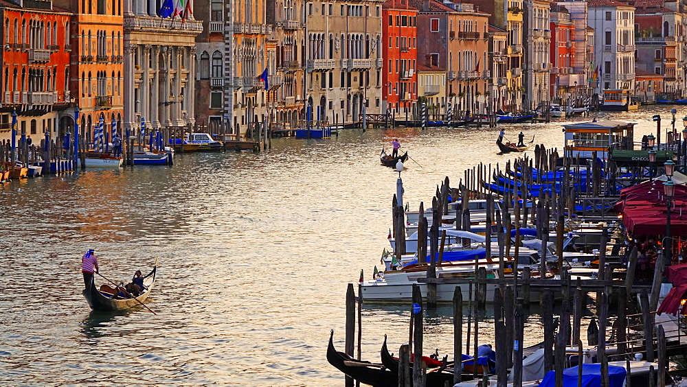 Canal Grande (Grand Canal), Venice, UNESCO World Heritage Site, Veneto, Italy, Europe