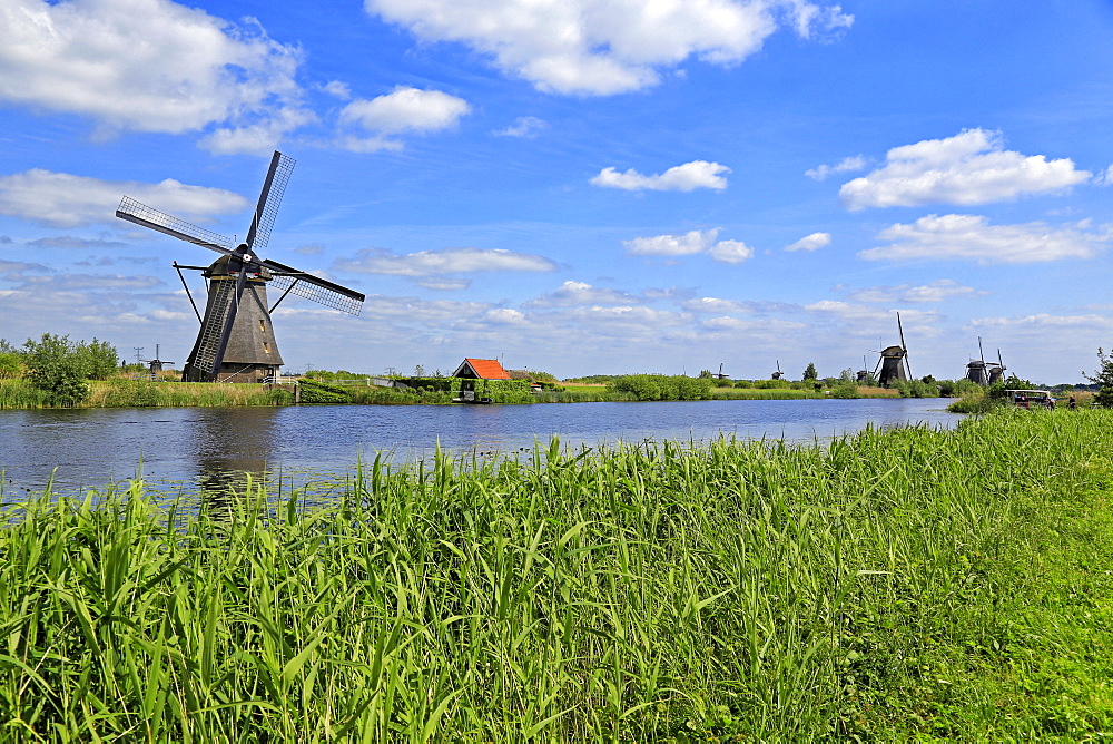 Windmills in Kinderdijk, UNESCO World Heritage Site, South Holland, Netherlands, Europe