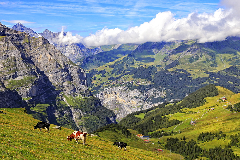 View from Kleine Scheidegg to Murren and Lauterbrunnen Valley, Grindelwald, Bernese Oberland, Switzerland, Europe