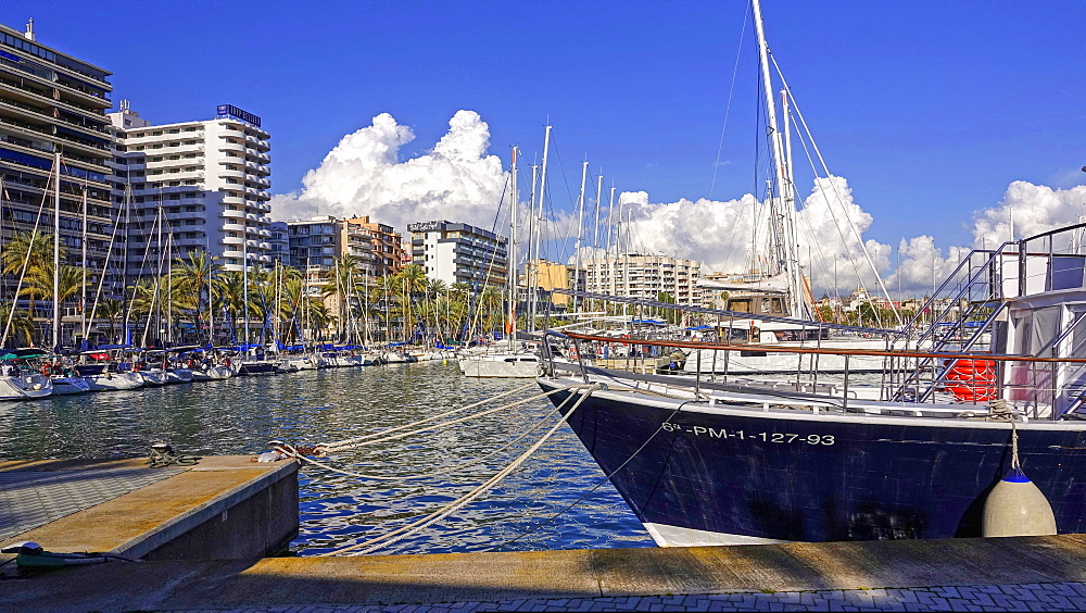 Marina of Palma de Mallorca, Majorca, Balearic Islands, Spain, Mediterranean, Europe