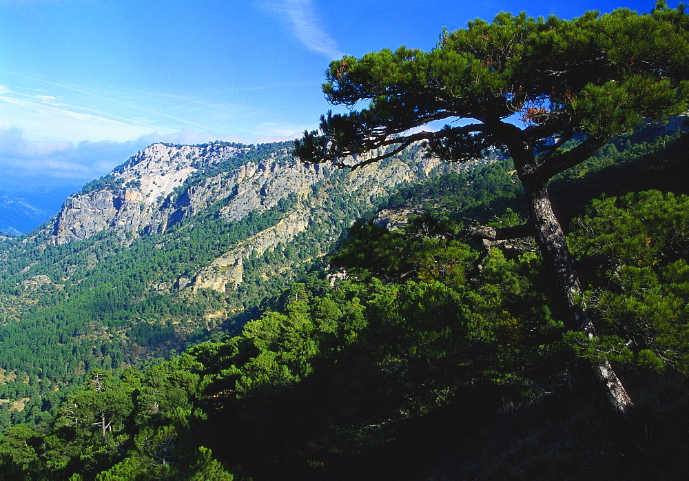 Cazorla National Park, Sierra del Pozo, Andalucia, Spain