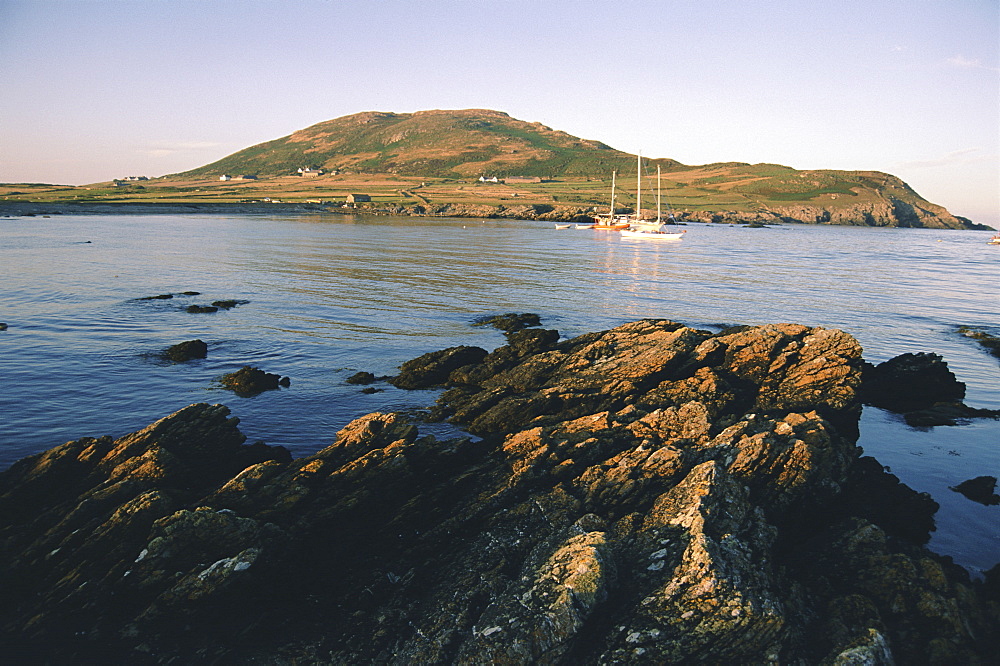 England, North Wales, Llyn Peninsula, Bardsey Island Nature Reserve