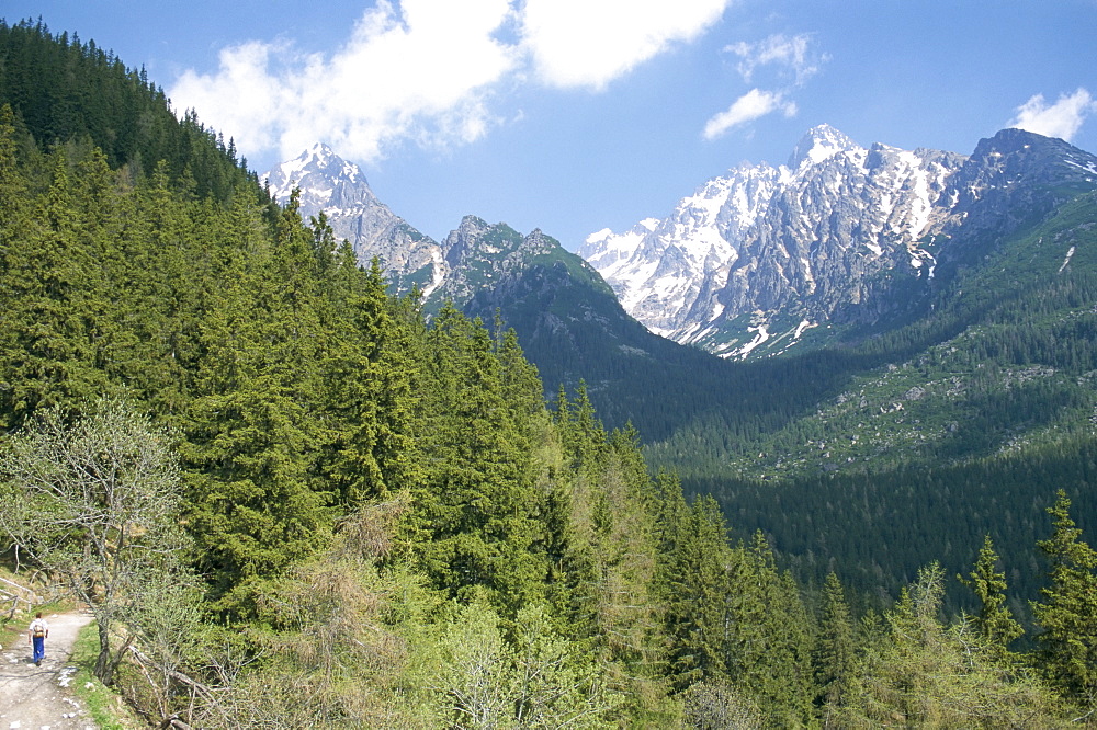 Hiker at Lomnicky Stit, High Tatra Mountains, Slovakia, Europe