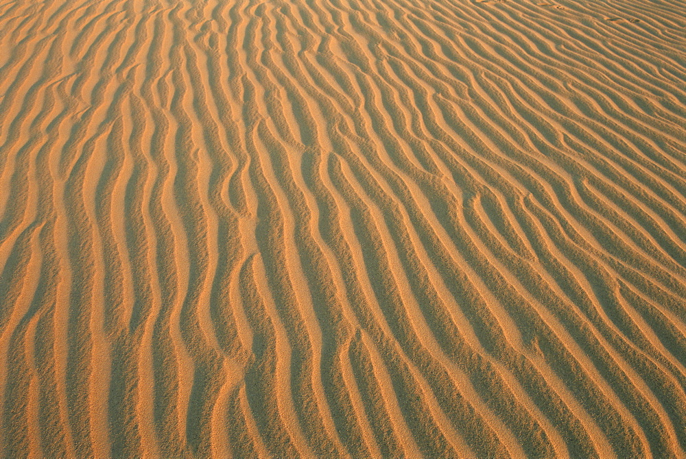 Sand ripples, between Kharga and Dakhla oases, Western Desert, Egypt, North Africa, Africa