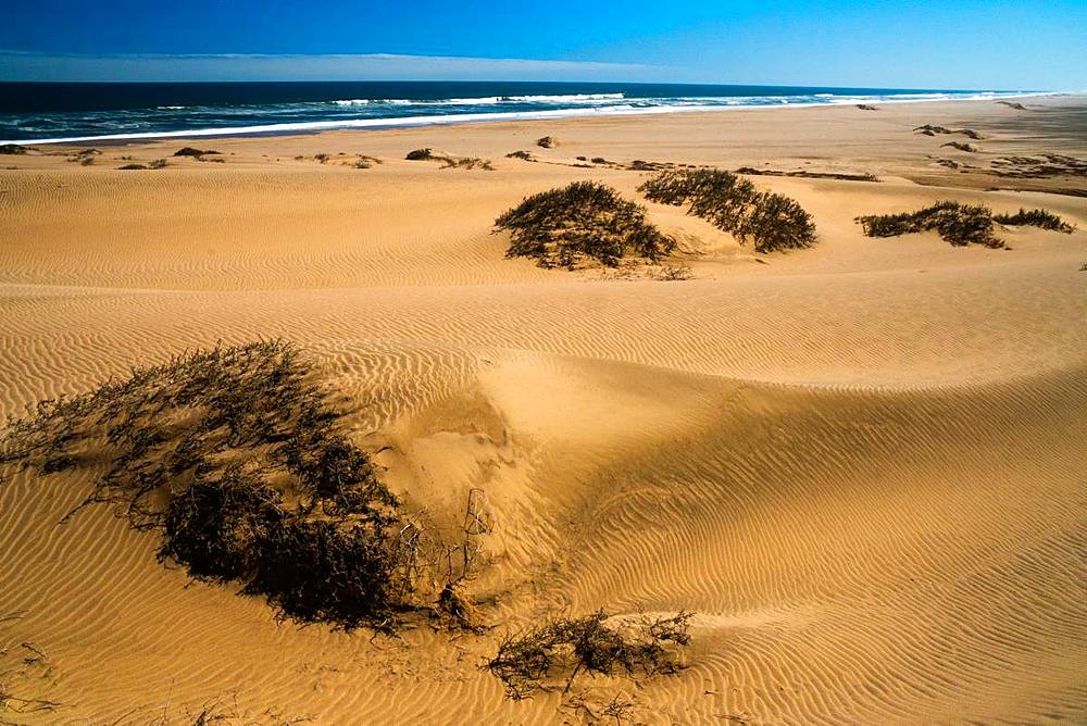 Sand dunes, blown by wind into pronounced furrows stretching into the distance by the sea and surf, near Sandwich Bay, Namibia, Africa