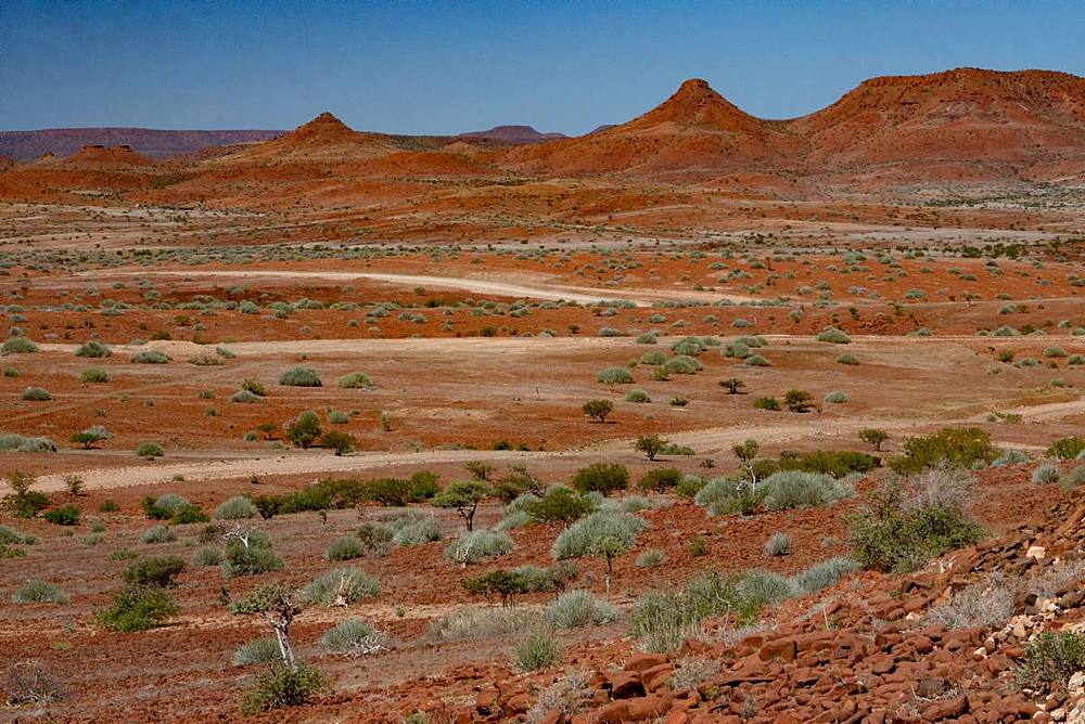 Red rocky landscape punctuated by thorn trees and bushes, north of Palmwag, Namibia, Africa