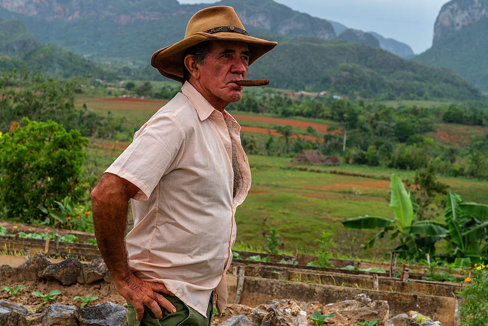 Tobacco plantation worker with cigar, on valley ridge, Vinales, Cuba 1 (Model release)