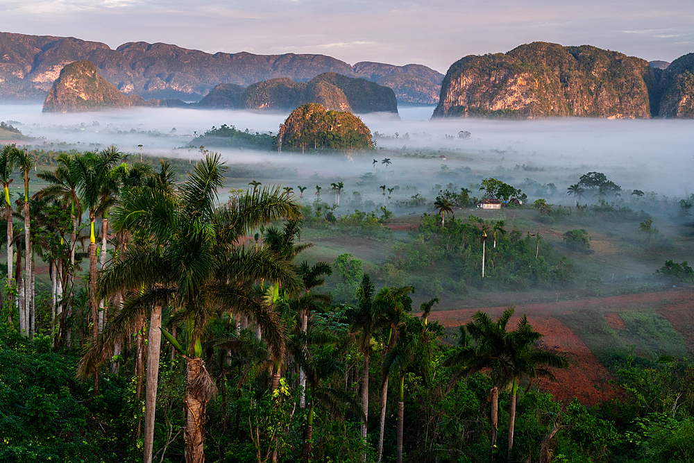 Val de Vinales, UNESCO World Heritage Site, early morning mist, Vinales, Cuba 2