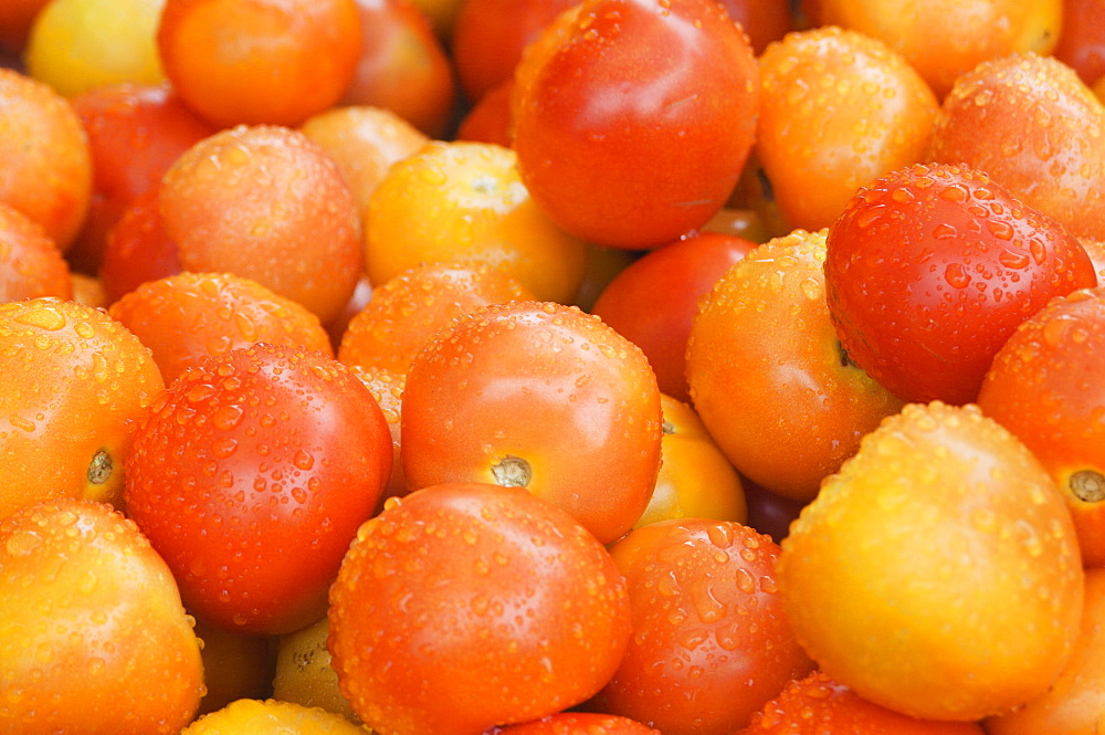 Tomatoes on a market stall