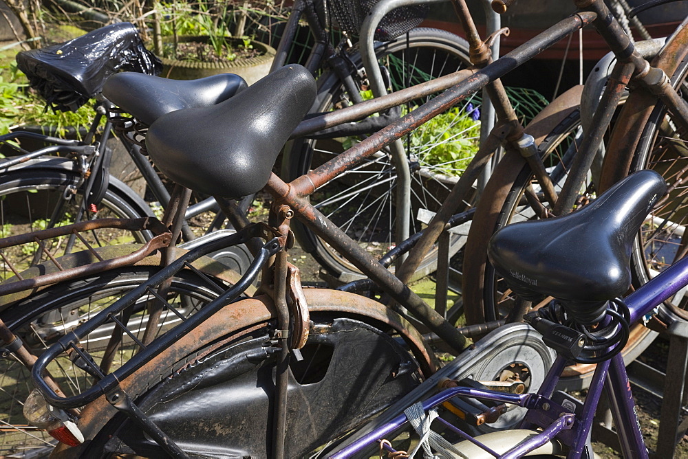 Rusty bicycles, Amsterdam, Netherlands, Europe