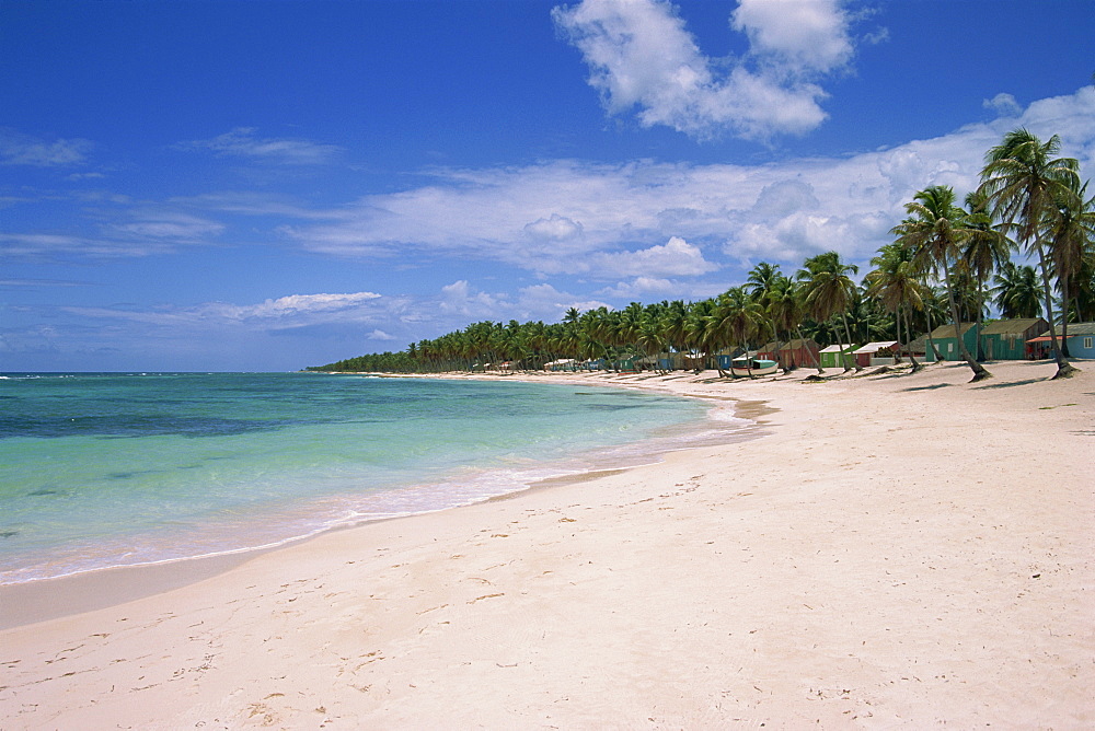 Beach huts and palm trees line an empty beach on Saona Island, Dominican Republic, West Indies, Caribbean, Central America