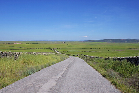 Belen Plains, near Trujillo, Extremadura, Spain, Europe